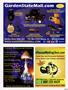 Page: - 33 | High Times