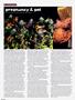 Page: - 40 | High Times