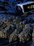 Page: - 60 | High Times