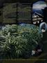 Page: - 69 | High Times