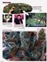 Page: - 88 | High Times