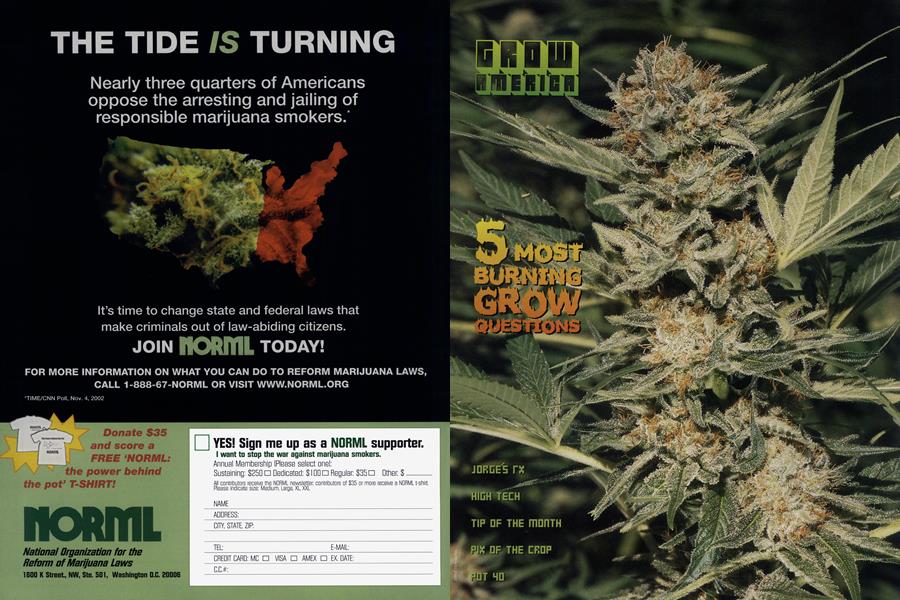 GROW AMERICA