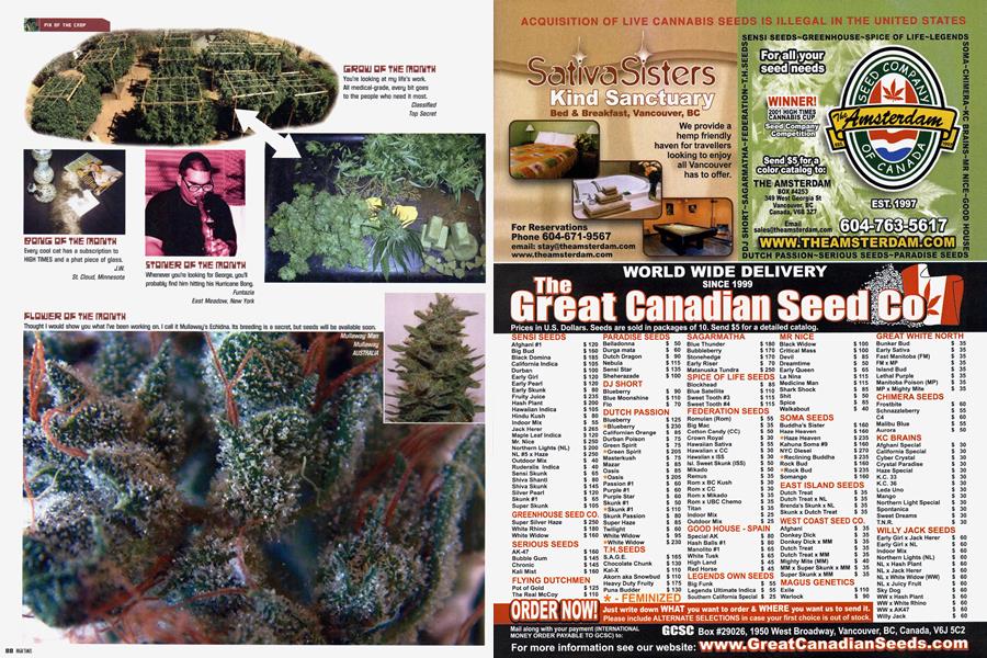 PIX OF THE CROP