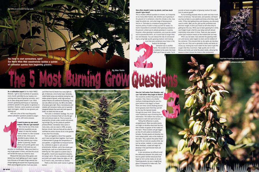 The 5 Most Burning Grow