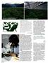 Page: - 104 | High Times