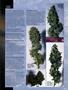 Page: - 17 | High Times