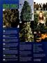 Page: - 4 | High Times