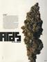 Page: - 45 | High Times