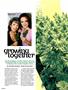 Page: - 52 | High Times