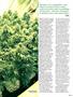 Page: - 53 | High Times