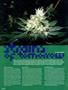 Page: - 58 | High Times