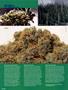 Page: - 64 | High Times
