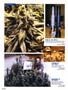 Page: - 88 | High Times