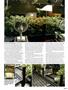 Page: - 99 | High Times