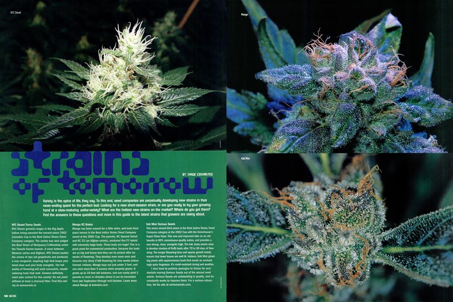 strains of tomorrow