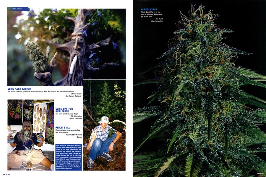 GROW AMERICA