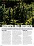 Page: - 58 | High Times