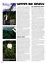 Page: - 64 | High Times