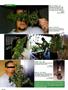 Page: - 86 | High Times