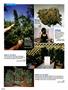 Page: - 88 | High Times