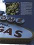 Page: - 43 | High Times