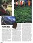 Page: - 66 | High Times