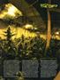 Page: - 100 | High Times