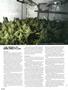 Page: - 58 | High Times