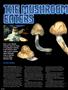 Page: - 70 | High Times