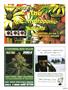 Page: - 75 | High Times