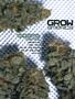 Page: - 85 | High Times