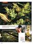 Page: - 88 | High Times