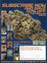 Page: - 27 | High Times