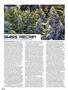 Page: - 30 | High Times