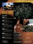 Page: - 4 | High Times