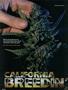 Page: - 90 | High Times
