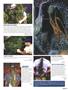 Page: - 79 | High Times