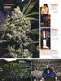 Page: - 80 | High Times