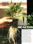 Page: - 90 | High Times