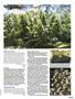 Page: - 97 | High Times