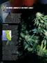 Page: - 52 | High Times