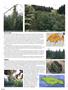 Page: - 54 | High Times