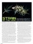 Page: - 62 | High Times