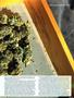 Page: - 67 | High Times
