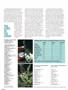 Page: - 70 | High Times