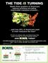 Page: - 83 | High Times