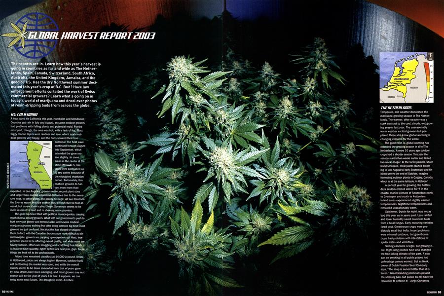 GLOBAL HARVEST REPORT 2003