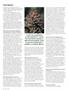 Page: - 82 | High Times