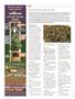 Page: - 90 | High Times