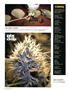 Page: - 20 | High Times